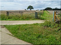 TQ0437 : Bridleway junction near Holdhurst Farm by Shazz