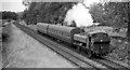 Local train from Crewe approaching Market Drayton Junction, Wellington