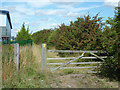 Footpath to White