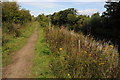 Thames Path beside New Cut