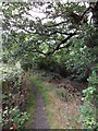 Footpath, Wheat Royd, Almondbury.