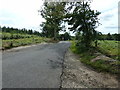 Severals Road south to Bepton Common