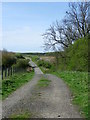 Bridleway, Longhirst