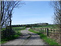 Bridleway near Longhirst