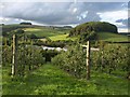 View across Wash Farm