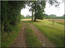 SU5752 : Farm track & path by Mr Ignavy