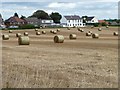 SE3937 : Straw bales on the west side of the village by Christine Johnstone