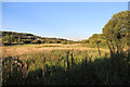 Farmland, Cuxton, Kent