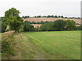 Farm access track off Rectory Lane