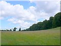 Fields near Abbots Leigh