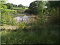 Fishing pond on Ainsworth Hall Road