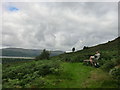 The Dyfi estuary