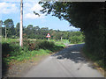 Start of Ynys Hir road from Eglwys Fach