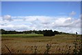 NJ7123 : Garioch Barley Field by Andrew Wood