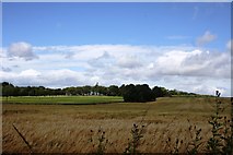 NJ7123 : Garioch Barley Field by Andrew Wood