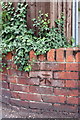 Benchmark on wall at junction of Wokingham Road and Bulmershe Road