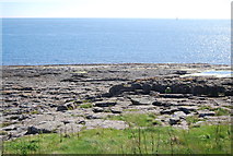 NU2521 : Flat rocks near Dunstanburgh Castle by N Chadwick