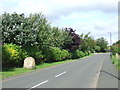 Quarry House Lane, East Rainton