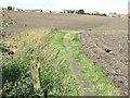 Footpath near East Rainton