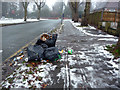 SP0683 : Bin bags awaiting collection on an icy Pebble Mill Road by Phil Champion