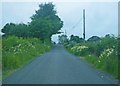 H6641 : Rural road scene near Creevelea by C Michael Hogan