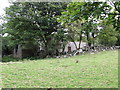 Ruined farmstead on the Drumlee Road