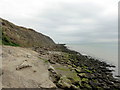 Folkestone, Copt Point