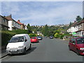 Netherhall Road - viewed from Strathallan Drive