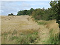 Public footpath near West Rainton