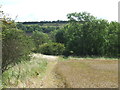 Public footpath near West Rainton