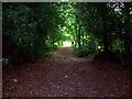 Ancient Track over Marsh Brook