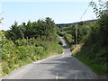 The wooded Bannanstown Road