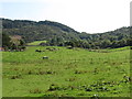 Minor valley extending south towards Slievenaslat