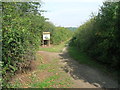 Path to Treeton Dyke