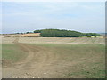 Farmland off Wood Lane