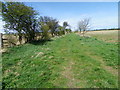 Footpath near Linton