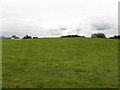 Claragh Townland