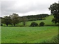 Farmland, Unthank