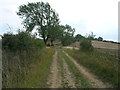 Fordoles Head Lane