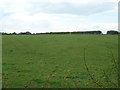 Farmland, Clifton Common