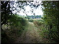 View from the woodland track near Lordshill