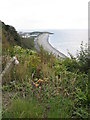 View of the Knap from Bull Cliff