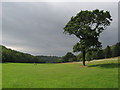 Porthkerry Park