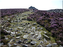 SO3698 : Rocky path on the Stiperstones north of Manstone Rock by Jeremy Bolwell