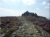 SO3698 : Footpath approaching Manstone Rock on Stiperstones by Jeremy Bolwell