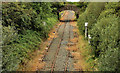 Disused railway, Ballinderry (1)