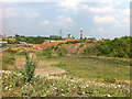 SP0482 : Waste land next to Aston Webb Boulevard (Selly Oak New Road, Phase 1) by Phil Champion