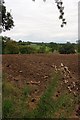 Ploughed Field