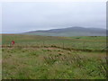 Egilsay: view past the postbox towards Rousay