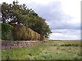 The coastal footpath to Parkgate along the sea wall at Gayton